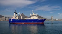 Sea Harvest Group posts higher earnings, revenue in H1 2024 despite vessel loss, low catch rates