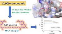 Discovery of small molecule inhibitors of Mycobacterium tuberculosis ClpC1: SAR studies and antimycobacterial evaluation