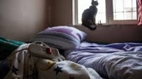 A brick, a cat and other means of heating up an apartment in Baku