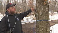 Northeast Wisconsin's maple syrup season starts slow due to suboptimal weather conditions