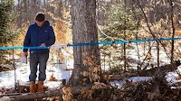 As Tariffs Slam Maple Syrup, Sugarmakers Branch Out