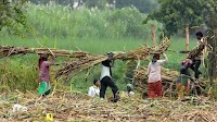 What is WTO’s Agreement on Agriculture (AoA)?