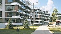 Luxury housing market shines in 2024