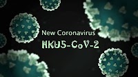 China Discovers New Bat Coronavirus That Can Infect Humans: What You Need to Know