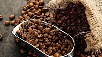 Coffee price today September 12, 2024: Slight increase of 100 VND/kg