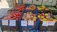 Wholesale Fruit Prices Rise; Cucumbers, Zucchini and Onions Lead Vegetable Gains in Past Week