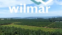 Wilmar Claims Cooking Oil Export Was Done In Compliance Of Indonesia Law