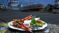 Icelandic delicacies served in new harbour restaurant