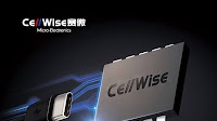 [News] CellWise Sold the Controlling Stake in its Overseas Foundry at SEK 2.37B