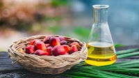 Malaysia: Palm Oil Futures Try To Hold The Line Above Key Average
