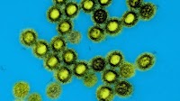 HHS, NIH launch next-generation universal vaccine platform for pandemic-prone viruses