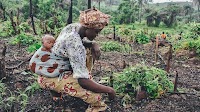 SDG 5: Achieve Gender Equality and Empower All Women and Girls