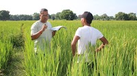 ‘This app saved my farm:’ How technology is helping Nepali farmers fight climate change