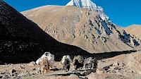 Kailash Mansarovar Yatra 2025 Is Set To Resume In June