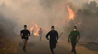 'Looks like doomsday': Wildfires fanned by heatwave and strong winds rage across Europe
