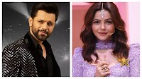 Exclusive - Rahul Vaidya on clashes with Rubina Dilaik in Laughter Chefs 2; says, 'We were cast for our N