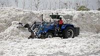 India suspends cotton import duty in signal to US, relief for garment industry