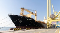Enterprise — Essential business, finance and policy news from the Arab world