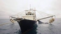 Australian prawn industry hoping to lure domestic customers as export prices dip