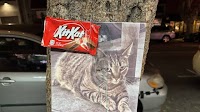 KitKat, liquor store mascot and ‘16th St. ambassador,’ killed — allegedly by Waymo