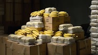 Czech authorities will incinerate over 600 kilograms of cocaine found in banana shipments