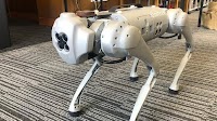 Bad dog: How Otago University’s robot dog could be a spy for China
