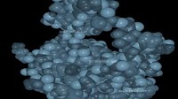ARISCIENCE Collaboration on SARS-CoV-2 Research - Computational Research Center