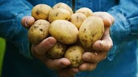 New ARIA award will aim to deliver a revolution in sustainable agriculture