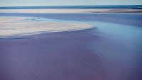 At ‘vast, remote’ Kati Thanda-Lake Eyre, unwritten rules for tourists may soon become real restrictions