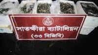 300kg gel-injected shrimp seized in Satkhira
