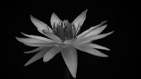 NSA Publishes Guidance on Mitigating BlackLotus UEFI Malware Attacks