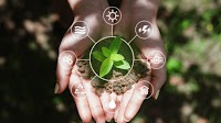 Thailand Approves Major Tax Incentives to Accelerate Renewable Energy and Energy Efficiency