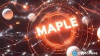 Why is SYRUP up 30% despite the crypto market downturn?