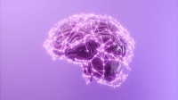 The Brain Plays a Central Role in the Development of Obesity
