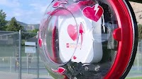 Ogden installs first 24/7 public AED at Mount Ogden Park to save lives
