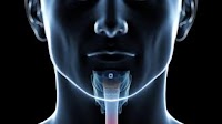 Phase 3 IDeate-Esophageal01 Trial Initiated for Unresectable ESCC