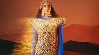 ‘Dubai Dress’ made from 10 kg gold, and valued at Rs 11 crore, sets new Guinness World Record