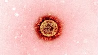 Novel hydrogel-based vaccine formulation shows high efficacy against SARS-CoV-2