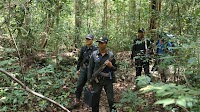 More murders: Conservationists allegedly killed by soldiers in Cambodia