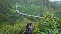 Should Hikers Pay for Their Own Rescues? New Legislation In Hawaii Argues Yes.