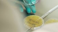 How a pervasive microorganism generates a greenhouse gas