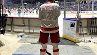 Former Red Wing Jiri Fischer measures life, Shocks and Saves success