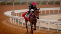 Romantic Warrior camp confident ahead of audacious Saudi Cup dirt test