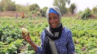 No ordinary irrigation in the Gambia: innovative solar-powered technologies are securing access to water for rural communities