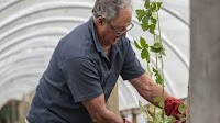 Bob's small but mighty berry business