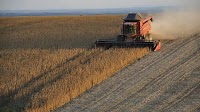 Meet the think tank behind the agribusiness’ legislative wins in Brazil