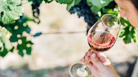 Australian farmers rip out millions of vines amid wine glut
