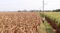 Coromandel International launches 10 new products to boost crop yields