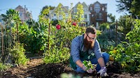 SDG 11: sustainable cities and communities
