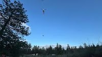 PenSAR, emergency crews extract an injured ATV rider from area west of Summerland. - Summerland News